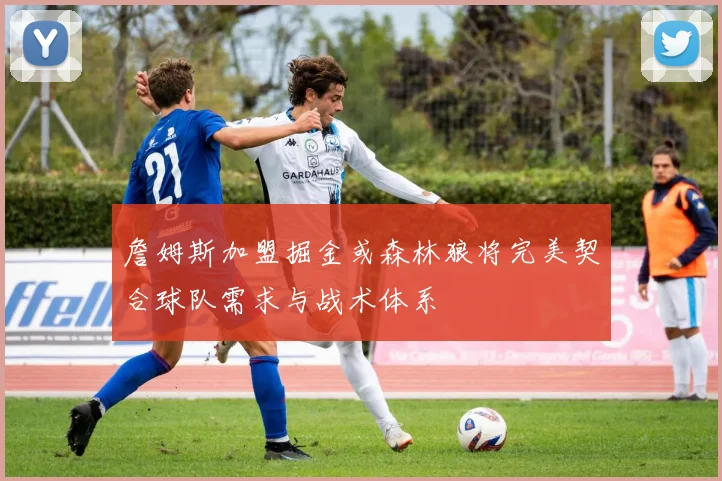 詹姆斯加盟掘金或森林狼将完美契合球队需求与战术体系
